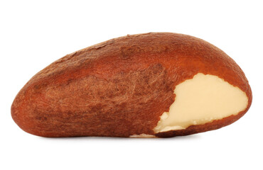 One tasty Brazil nut isolated on white