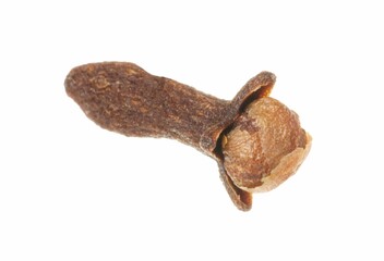 One dry clove bud isolated on white. Aromatic spice