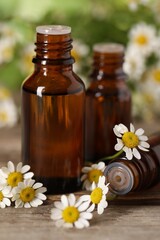 Bottles of essential oil and chamomile flowers on wooden table, closeup