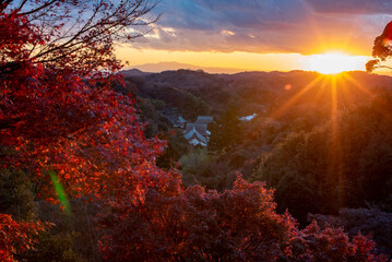 鎌倉2412　建長寺36　半僧坊　紅葉