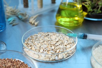 GMO concept. Different raw grains in Petri dishes, microgreens, syringe and other equipment on table in laboratory, closeup