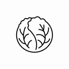 cabbage vegetable icon sign vector