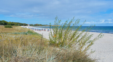 A peaceful view of the Baltic Sea coastline with grassy dunes, strandkorb beach chairs, and calm blue waters under a partly cloudy sky. A serene natural landscape.