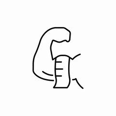 muscle size icon sign vector