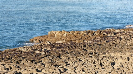 the rocky coast of the mediterranean sea in the north of israel