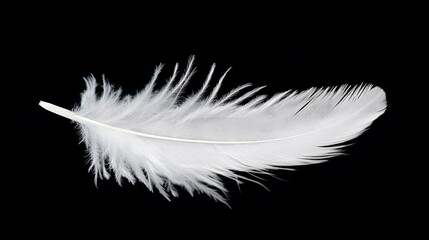 Obraz premium A white feather floating gently in the air, symbolizing angels and spiritual presence