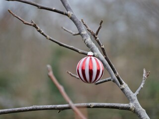 Christbaumschmuck am Baum im Garten