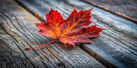 Obraz premium A solitary red leaf rests upon weathered wooden planks, showcasing the beauty of nature's transition into autumn.