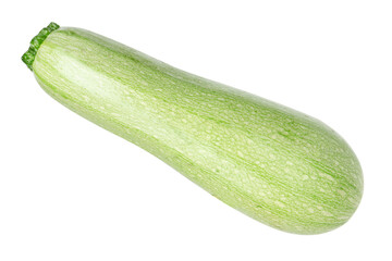 One fresh ripe zucchini isolated on white