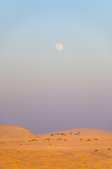 vertical desert landscape and full moon in the sky