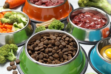 Dry pet food and natural products on light table, closeup