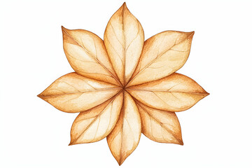 Beautiful hand-painted illustration of a symmetrical flower made from delicate autumn leaves on a white background