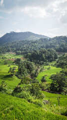 The landscape of Central Sri Lanka