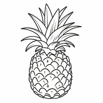 recommend clip art: Pineapple Coloring Pages For Kids. Pineapple Fruit Coloring Book Printable. Pineapple Icon. Pineapple Illustration Vector Design On White Background