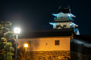 ライトアップされた今治城