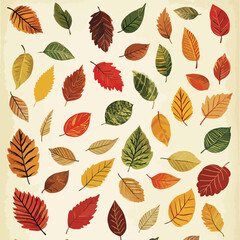 Obraz premium autumn leaves clip art, clip art concept