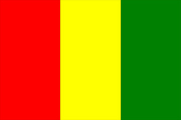 Guinea flag