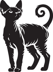 Black cat silhouette