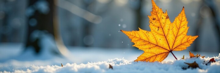 Fototapeta premium Bright yellow leaf against monochromatic winter backdrop, autumn colors, seasonal change, lichen