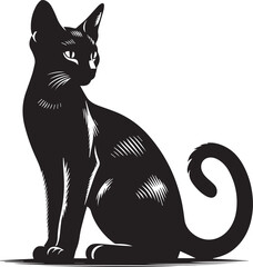 Obraz premium Black cat