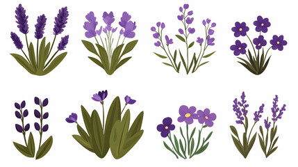 Purple Flowers Illustration Set Lavender, Pansies, Wildflowers, Graphic Design Elements, Website Decoration.