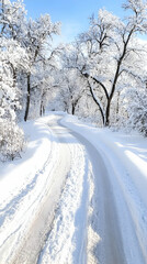 Obraz premium Snowy winding road through winter forest, sunny day, travel postcard.