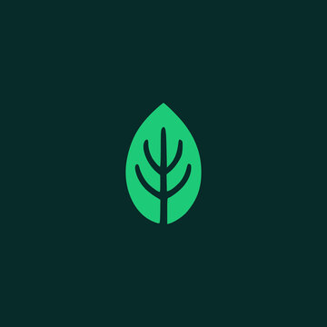 basil leaf plant nature logo vector illustration template design