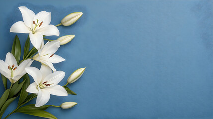 White lilies arranged on blue background, copy space, sympathy card design.