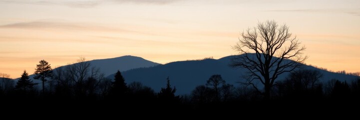 Snowy forest paper cut out with blue sky, white frame, generative AI, chilly, craft, silhouette