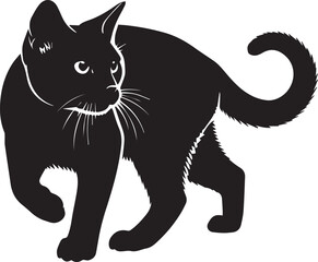 Black cat illustration