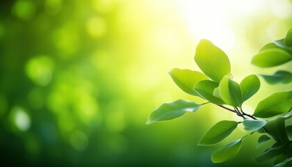 Obraz premium Bright Green Leaves in a Lush Garden Setting Under Soft Natural Light Creating a Serene and Peaceful Atmosphere