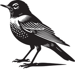 Bird on a branch