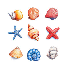 Assorted Watercolor Seashells Collection
