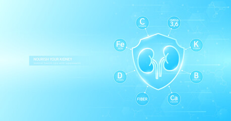 Shield healthy kidney build immunity with vitamin C minerals calcium iron and fiber omega 3 surrounded. Nourish by medical health care supplements. Used for designing food ads. Banner vector.