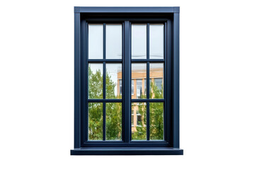 Sleek Black Aluminum Window Frame with View