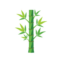 Naklejka premium Green bamboo little tree isolated flat vector illustration on white background.