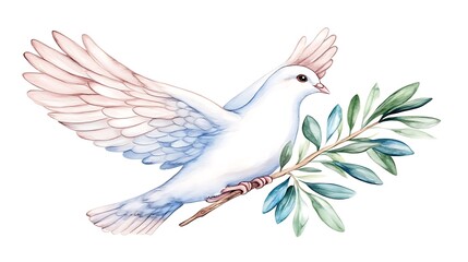 Obraz premium Watercolor painting of a white dove carrying an olive branch.