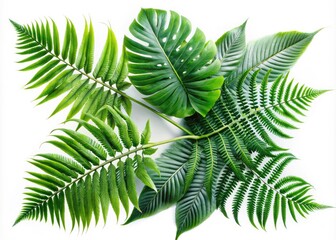 Exquisite white background botanical print featuring a double exposure of Monstera, palm, and fern leaves.