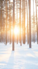 Obraz premium Winter Sunrise in Snowy Forest Minimalist Nature and Tranquility