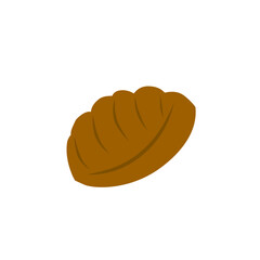 chocolate biscuit