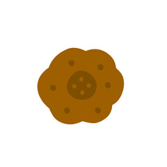 chocolate biscuit