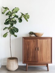 Fiddle leaf fig plant beside a mid century modern cabinet