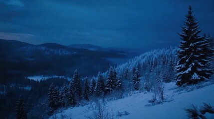 Snow-covered mountain forest at twilight.