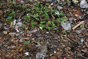 A grassy field is littered with trash and debris.