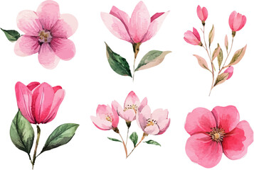set of pink flowers