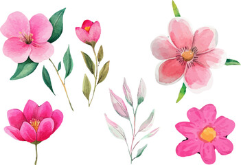 Fototapeta premium set of pink and white flowers