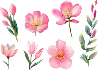 pink and white flowers