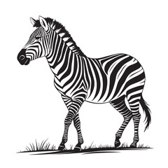 Zebra line art vector art vector