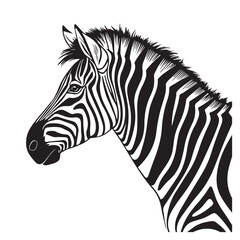 Zebra line art vector art vector