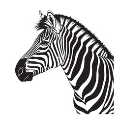 Zebra line art vector art vector